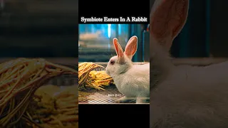 A Symbiote Entered In Rabbit Shorts Venom Symbiote 