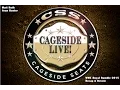 Cageside Live WWE Royal Rumble 2015 Recap Review