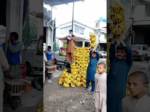 sabzi Wala b for brfwala