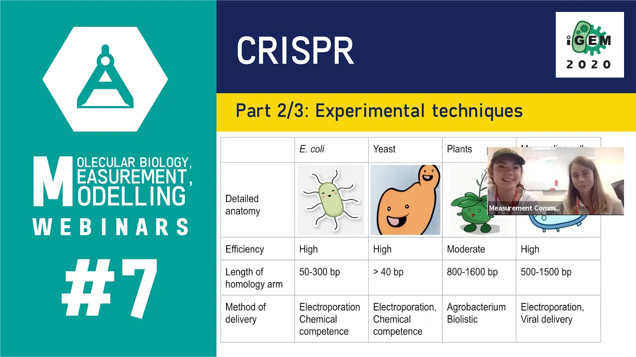 Week #7: CRISPR 2/3: Experimental techniques
