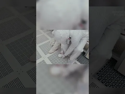 Si quieres entrar a una fábrica de chips, tienes que hacer ESTO