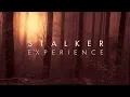 Download Lagu Red Forest | Dark Ambient Mix