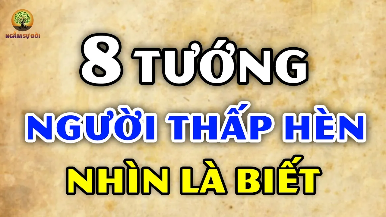Outline Video Hóa ra người có TƯỚNG THẤP HÈN nhìn 8 ĐIỂM NÀY là biết (Chuẩn xác 100%)