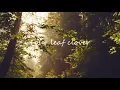 Download Lagu Four Leaf Clover（Original Song) lyric video