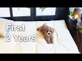 First 2 Years Expenses Development Medical I Training