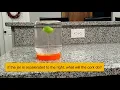 Cork Accelerometer