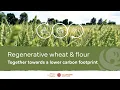 LLBG x Arvesta regenerative agriculture