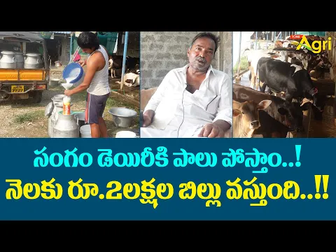 Download MP3 Cow Milk Dairy Farming | సంగం డెయిరీకి పాలు పోస్తాం..! నెలకు రూ.2లక్షల బిల్లు వస్తుంది..!! Tone Agri