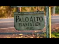 Louisiana Plantations of Bayou Lafourche