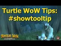 Turtle WoW Tips