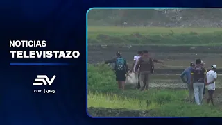 Hombre asesinado a tiros en medio de cosecha de arroz en Samborondón | Televistazo | Ecuavisa