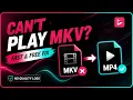 How to Convert MKV to MP4 Without Losing Quality And it s free