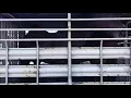Kill Pen Horses Leaving Pitkin Louisiana