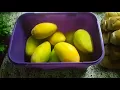 Multikeeper by tupperware mansoura 2