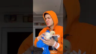 ابنك بعد ما تنمرت ع الناس 