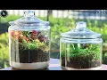 5 Best cookie jars to keep cookies fresh Cookie Jars