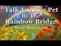 Meet Your Beloved Pet In Spirit At The Rainbow Bridge Guided Meditation 432 Hz Binaural Beats
