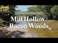 Mill Hollow Bacon Woods - Vermilion River Reservation Ohio 4K