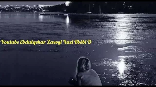 صلاح امین به سه ژیان 