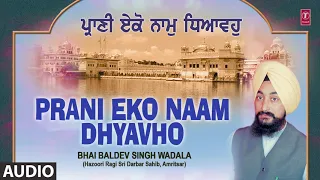 Download PRANI EKO NAAM DHYAVHO | BHAI BALDEV SINGH WADALA | PRANI EKO NAAM DHYAVHO MP3