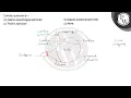 Cardiac sphincter is - a Gastro-oesophageal sphincter b Gastr