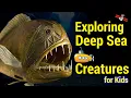 Deep Sea Creatures For Kids Educational s Series 1 of 1