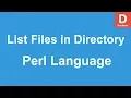 Perl Programming Display All Files in Directory