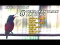 Download Lagu 8 TEMBAKAN TAJAM ALA KONIN KOLIBRI NINJA FULL MUNTAH MATERI KEKINIAN // PANCINGAN KONIN // MASTERAN