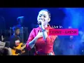 Haning - new palapa || goyangane Lala Widi wenak puuoolllll