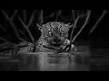 ДАЙТЕ ДУРИ-КРАКЕН - SLOWED - painhatedyou