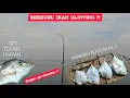 Download Lagu Ikan primadona para pemancing bagan ‼️ || bagan pertamina || Kuwe Rambe atau ebek