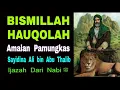Download Lagu Bismillāh Hauqolah, Kalimat Pamungkas Sayidina Ali bin Abu Thalib, Atasi Semua