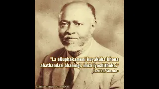 mfu shozi indaba yemfene kamngomezulu