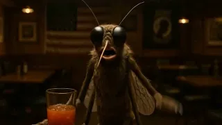 Perimeter Insect Guard Bar Talk Etofenprox 