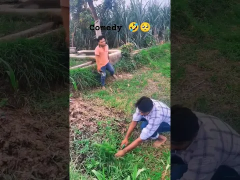 vairlvideo comedy 🤣 हिन्दी कॉमेडी