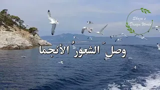 قلبي يرف   كلمات   أمل الشقير   أداء   عبدالمجيد الشلا  ح ي دندنها