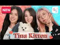 Download Lagu we love Tinakitten!!!! | ep 54 | Sweet n' Sour