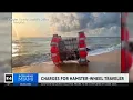 Florida man charged for attempting to cross Atlantic in giant hamster wheel