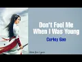 Lagu [ENG SUB]Legend of Fei Ending OST | Don't Fool Me When I Was Young (红尘莫欺我年少) - Curley Gao |