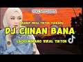 Download Lagu dj ciinan Bana -fauzana mslow minang viral terbaru. full song Maman fvndy