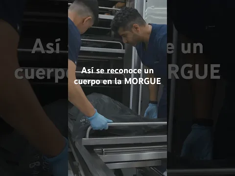 Así se reconoce un cuerpo en la MORGUE…