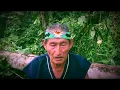 Lagu Amazonský šaman Don Carlos a léčení s Ayahuascou