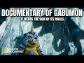 Real Life Digimon – NatGeo: Gabumon | The Biology of the Imposter Wolf