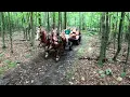 Download Lagu Back to the Woods for a Load of Logs!! // Draft Horse Logging #821