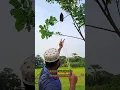 Download Lagu MENEMBAK BERBURU BURUNG LANGKA || KETAPEL TRADISIONAL