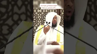 بئس الضجيع الجوع توفيق الصايغ 