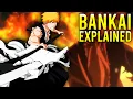 Bankai EXPLAINED