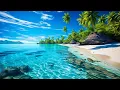 Download Lagu Soothing music for nerves🌿 healing music for the heart and blood vessels, relaxation, music for soul