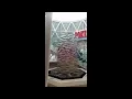 Moncton NB Casino Poker vlog 4