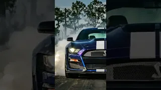 تصميم موستنج دندنها